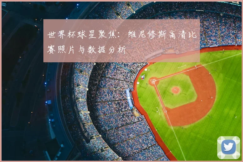世界杯球星聚焦:维尼修斯高清比赛照片与数据分析