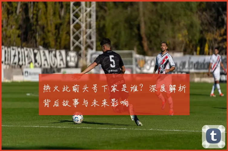 热火此前头号下家是谁?深度解析背后故事与未来影响
