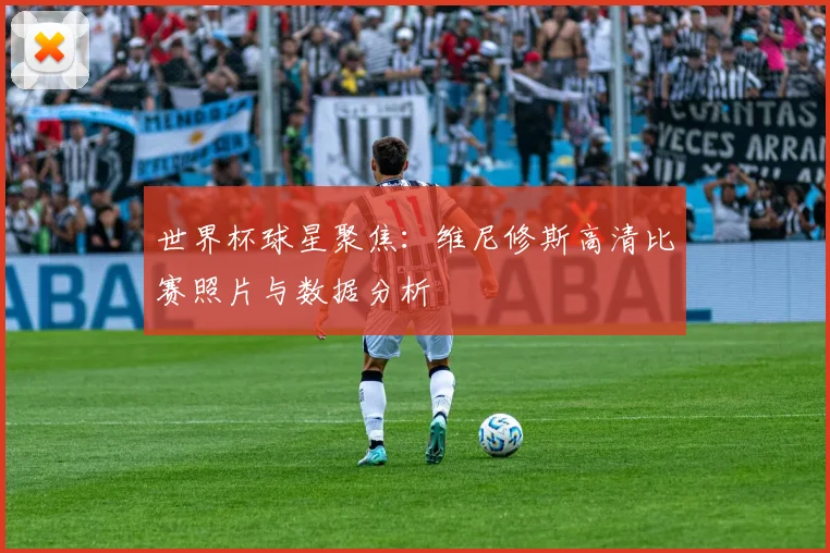 世界杯球星聚焦：维尼修斯高清比赛照片与数据分析